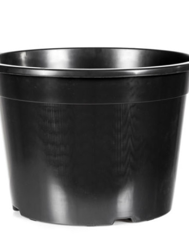 Blumentopf RS50 Kunststoff 50L
