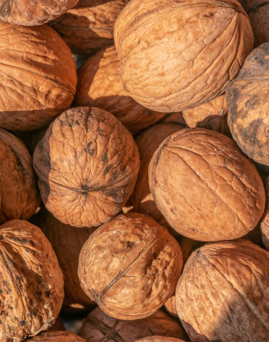 Walnuss Fernor, Cont. 5l