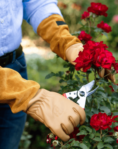 FELCO 705 Handschuhe für Rosen
