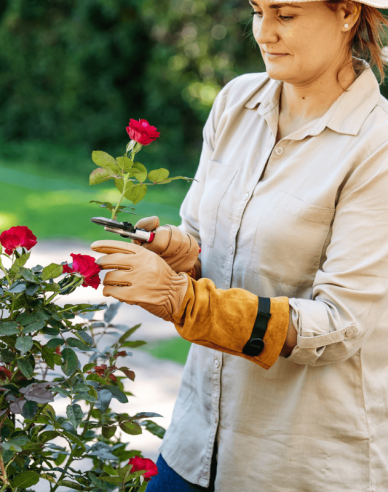 FELCO 705 Handschuhe für Rosen