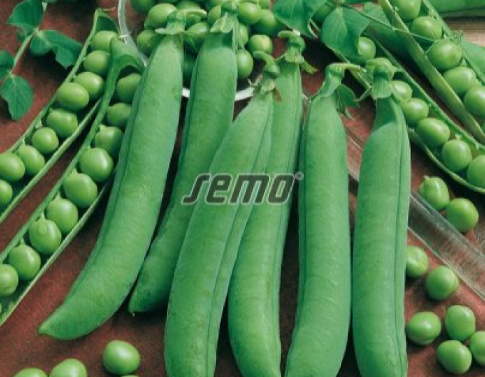 Semo Erbse Twinset 50g