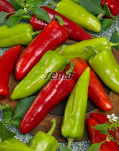 Semo Paprika  Dráky F1
