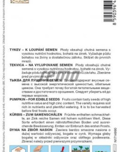 Semo Riesenkürbis Gurman (SM 396/19)