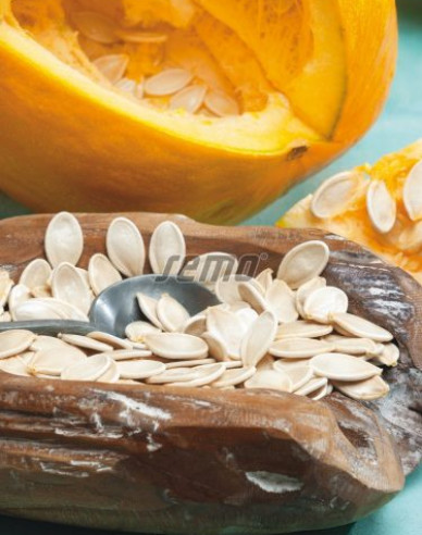 Semo Riesenkürbis Gurman (SM 396/19)