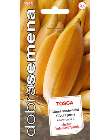 Dobrá semená Zwiebel Tosca