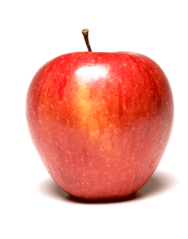 Apfel Pinova, auf  A2, wurzelnackt