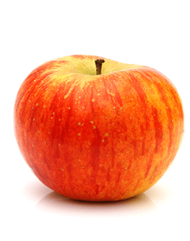 Winterapfel Topaz, auf MM106, wurzelnackt