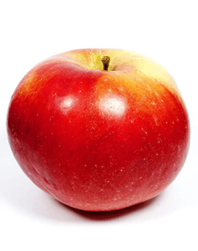 Apfel Idared, auf M9, Cont. 5l