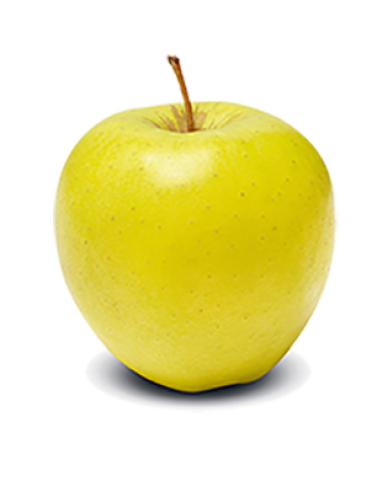Apfel Golden Delicious, auf  A2, wurzelnackt