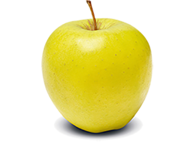 Apfelbaum Golden Delicious auf M9, Cont. 5l