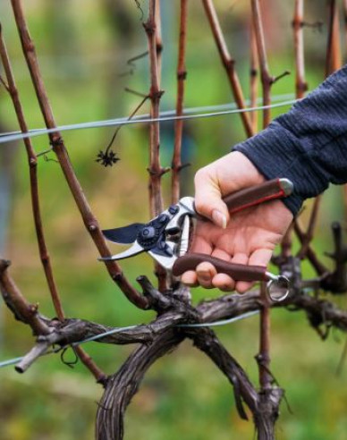 FELCO 6 Elite Gartenschere