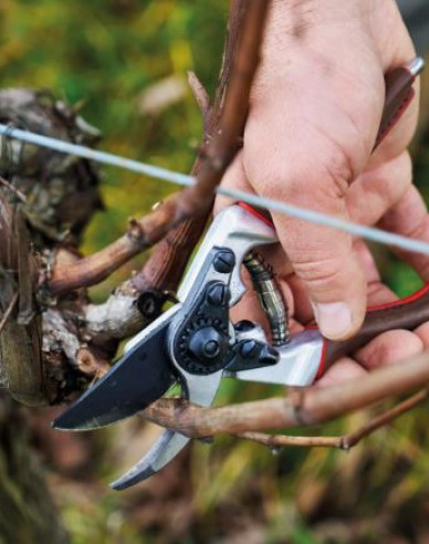 FELCO 6 Elite Gartenschere