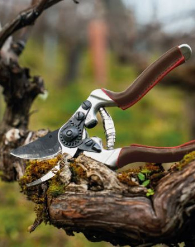 FELCO 8 Elite Gartenschere