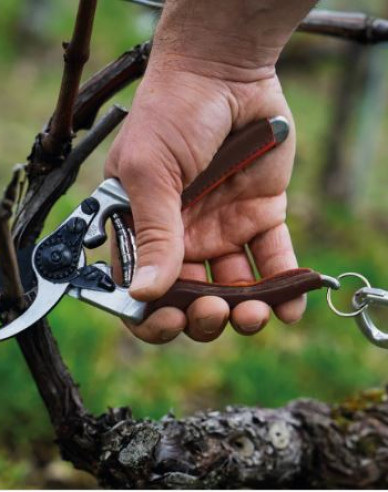 FELCO 8 Elite Gartenschere