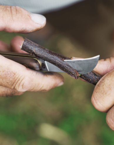 FELCO 511 Veredelungsmesser für Weinreben