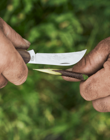 FELCO 511 Veredelungsmesser für Weinreben