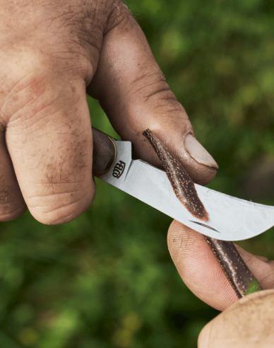 FELCO 511 Veredelungsmesser für Weinreben