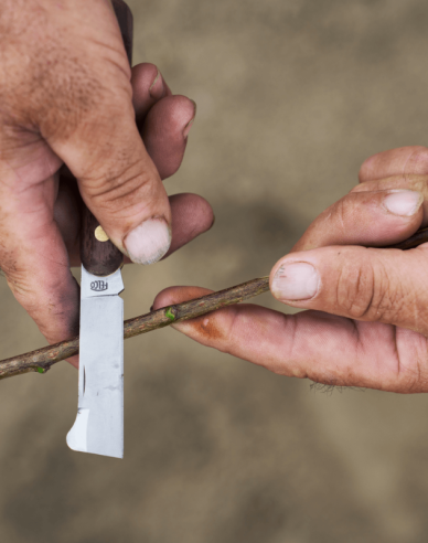 FELCO 512 Veredelungsmesser