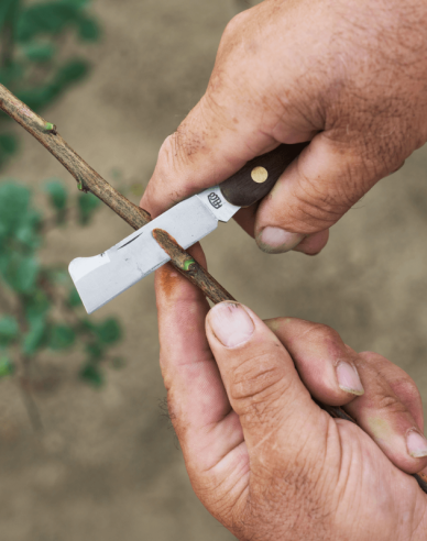 FELCO 512 Veredelungsmesser