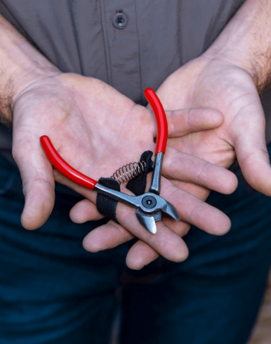 FELCO 330 Obstschere