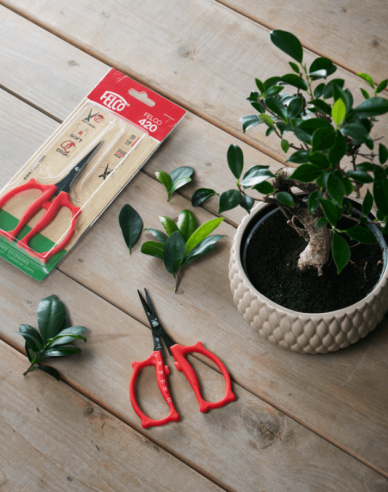 FELCO 420 Präzisions-Trimmschere