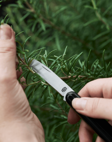 FELCO 520 Floristenmesser