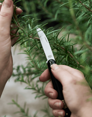 FELCO 520 Floristenmesser