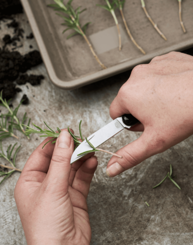 FELCO 520 Floristenmesser