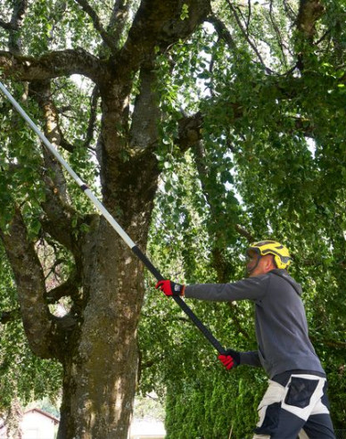 FELCO 648 Teleskopsäge