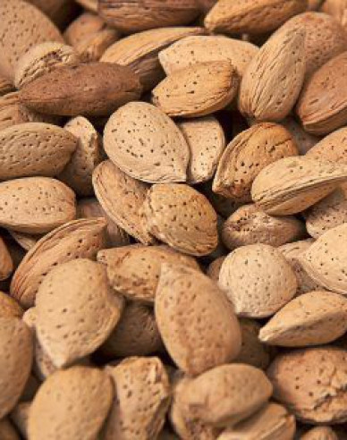 Mandelbaum Vama, Cont. 5l