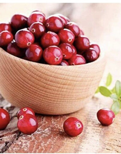 Preiselbeere Ben Learl