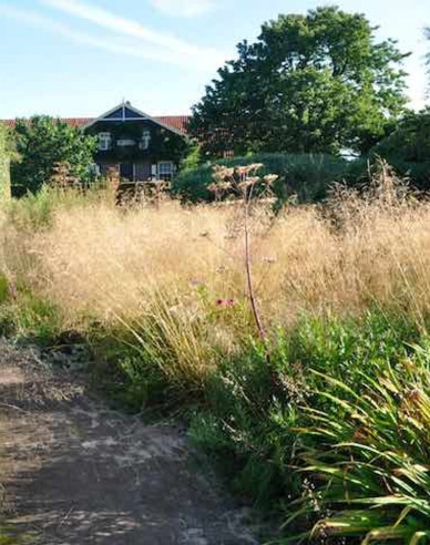 Schmiele Goldtau 9x9