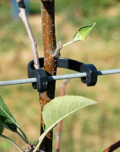 STAMMHALTER flexibles Band 175 mm lang