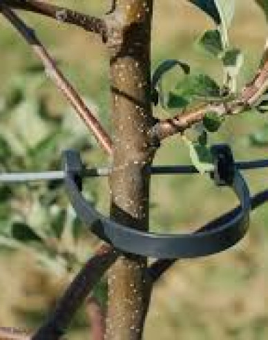 STAMMHALTER flexibles Band 175 mm lang