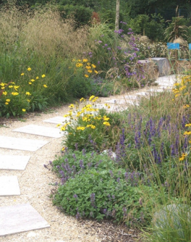 Schmiele Goldschleier 9x9