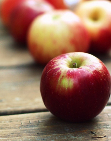 Apfelbaum Gala auf M9, wurzelnackt