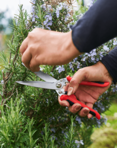 FELCO 456 Universalschere