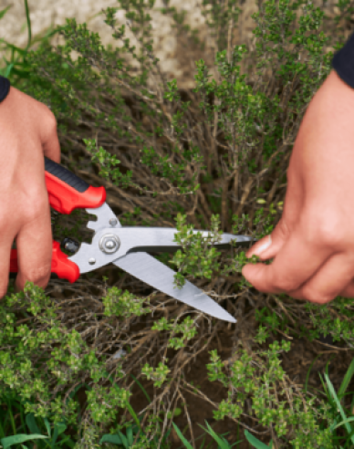 FELCO 456 Universalschere