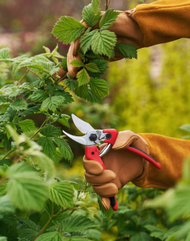 FELCO 171M Schere + FELCO 902 Schleifmaschine