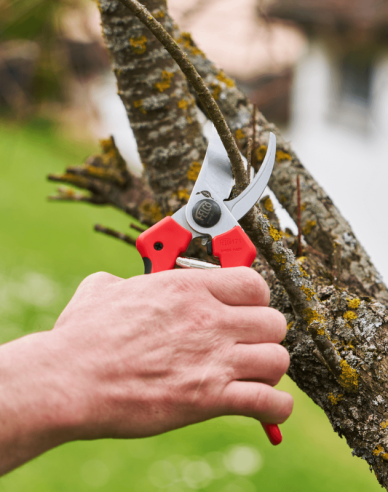 FELCO 171L Schere + FELCO 902 Schleifmaschine