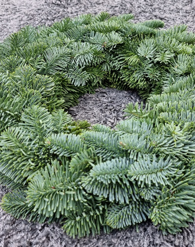 Weihnachtskranz (Abies Nobilis) 35cm
