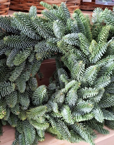 Weihnachtskranz (Abies Nobilis) 45cm