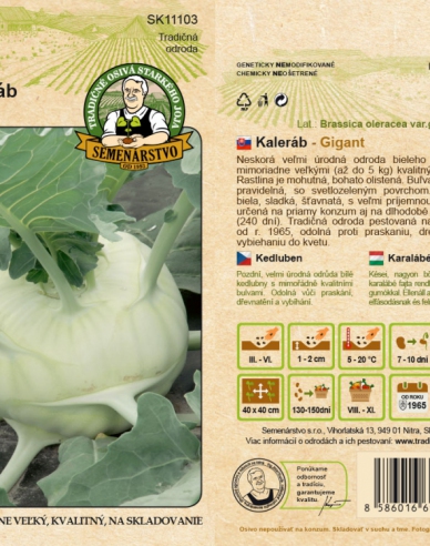 Kohlrabi Gigant