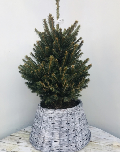 Weidenkorb weiß-grau