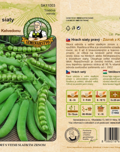 Erbse Wunder von Kelvedon