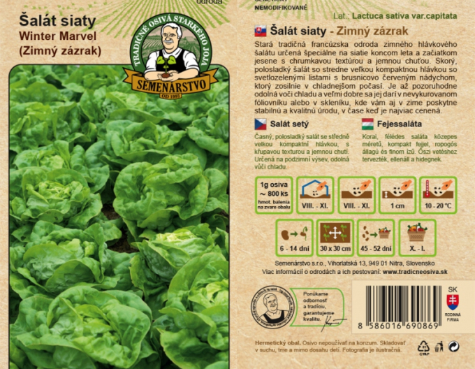 Kopfsalat Winter Marvel