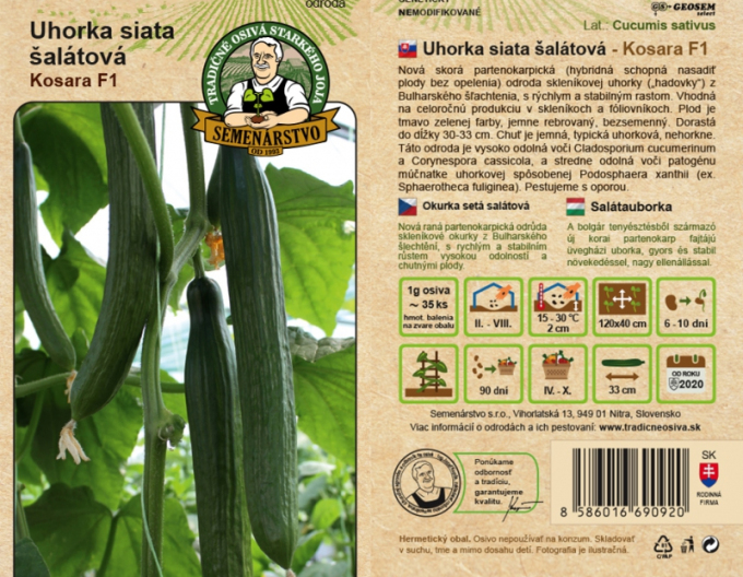 Salatgurke Kosara F1