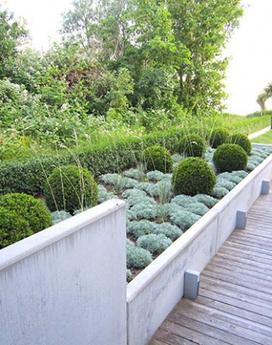 Palina schmidtova Nana