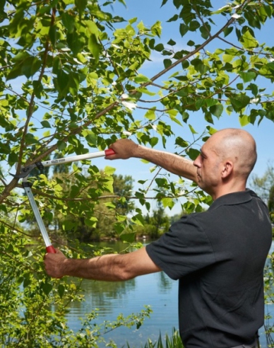 FELCO 211 - 60 Zweihand-Astschere