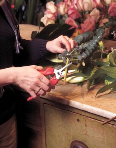 FELCO 310 Ernteschere